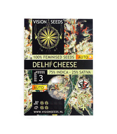 Семена сорта Delhi Cheese Auto Fem (Vision Seeds)