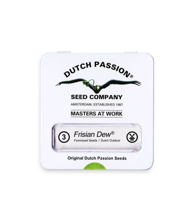 Семена конопли Frisian Dew в оригинальной упаковке