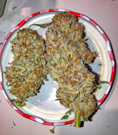 Семена сорта Zkittlez × Gorilla Glue fem (7CH Seeds & Cali Buds Seeds)