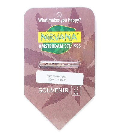 Семена сорта Pure Power Plant reg (Nirvana Seeds)