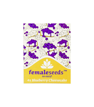 Семена сорта Blueberry Cheesecake fem (Female Seeds)