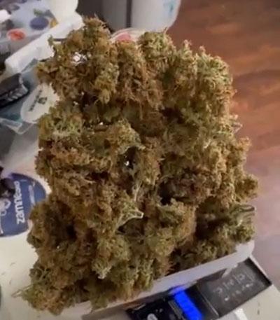 Семена сорта Apple Strudel Auto fem (FastBuds)