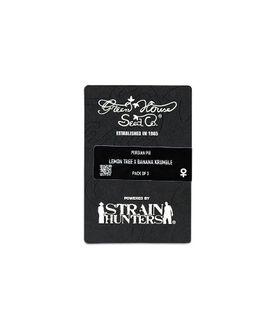 Семена сорта Persian Pie fem (Green House Seeds)