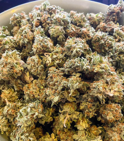 Семена сорта AK 47 Fast Version fem (Семяныч)