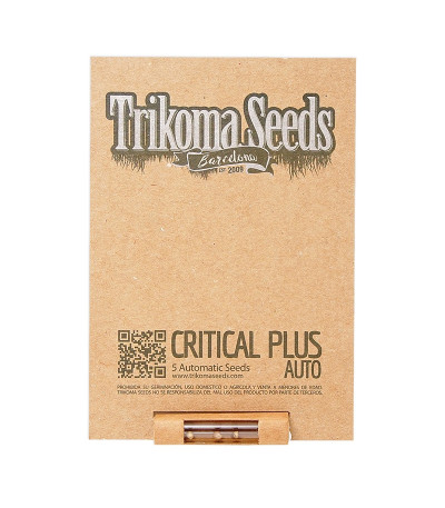 Семена сорта Critical Plus Auto fem (Trikoma Seeds)