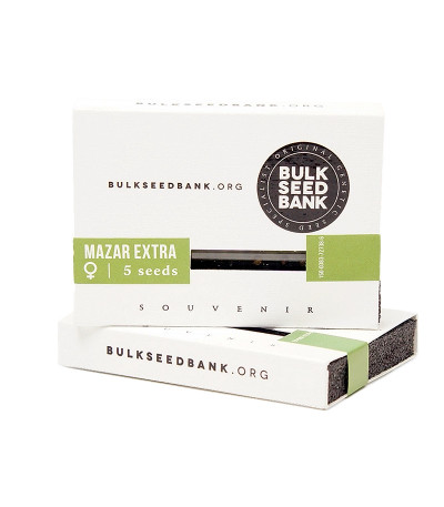 Семена сорта Mazar Extra fem