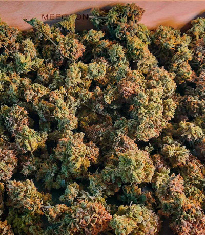 Семена сорта Gelato #45 fem (Barney's Farm)