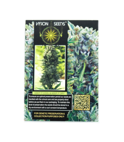 Семена сорта AK-49 fem (Vision Seeds)