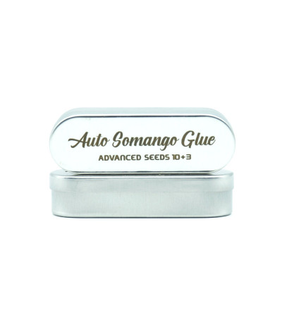 Семена сорта Auto Somango Glue fem (Advanced Seeds)