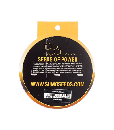 Семена сорта Ultimate AK fem (Sumo Seeds)