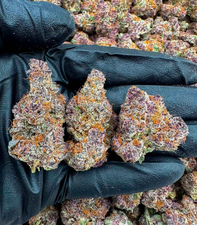 Семена сорта Super Boof fem от Barney's Farm