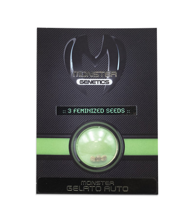 Семена сорта Monster Gelato Auto (Monster Genetics)