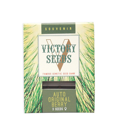 Семена сорта Auto Original Berry fem (Victory Seeds)