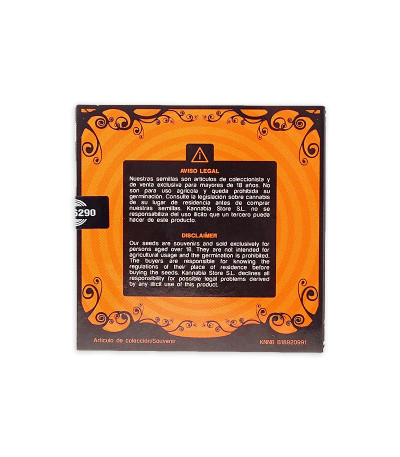 Семена сорта Pato #1 fem