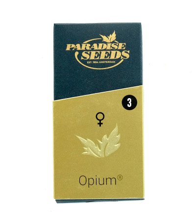Семена сорта Opium fem (Paradise Seeds)