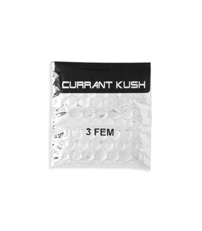 Семена сорта Currant Kush fem (VIP seeds)