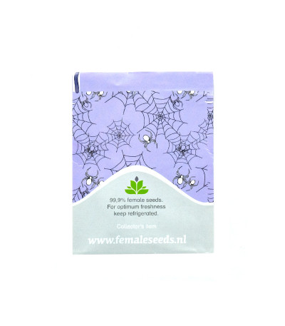 Семена сорта White Widow x Big Bud fem (Female Seeds)