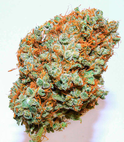 Семена сорта Mimosa Auto fem (Семяныч)