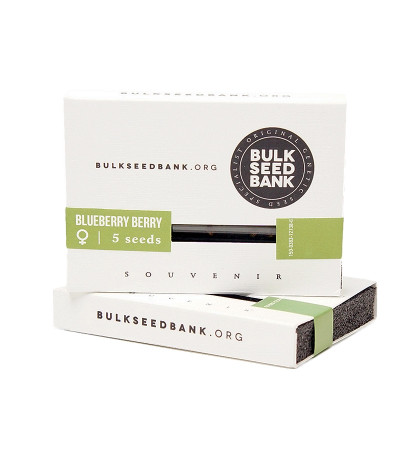 Семена сорта Blueberry Berry fem