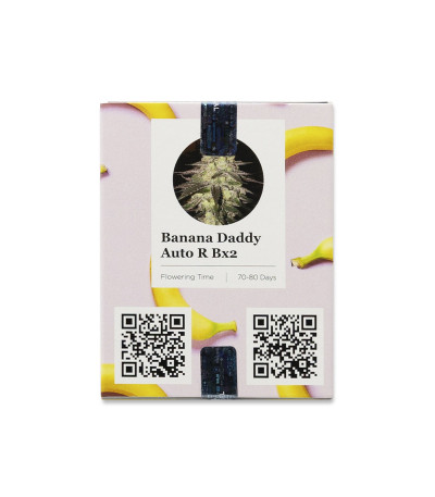 Семена сорта Banana Daddy Auto RBX2 fem (Ethos Genetics)