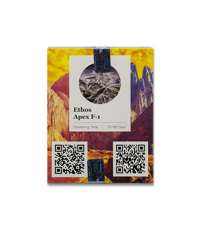 Семена сорта ETHOS Apex F1 reg (Ethos Genetics)