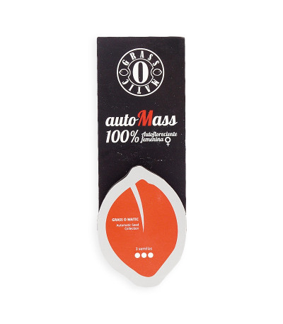 Семена сорта Auto MASS fem