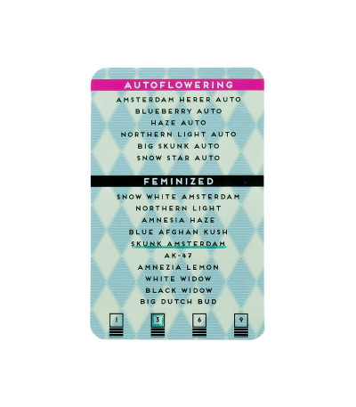 Семена конопли сорта Skunk Amsterdam