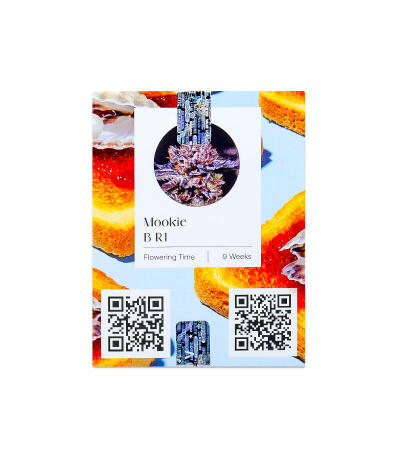 Семена сорта Mookie B R1 fem (Ethos Genetics)
