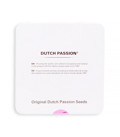 Семена сорта Auto Blueberry fem (Dutch Passion)