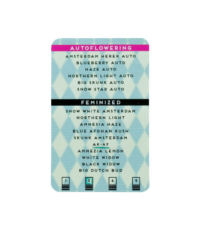 Семена конопли сорта AK-47