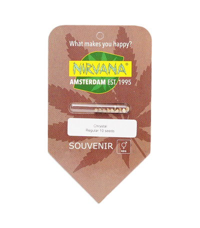 Семена сорта Chrystal reg (Nirvana Seeds)