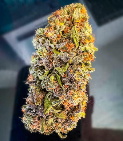 Семена сорта Watermelon Zum Zum fem (UKHTA)