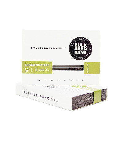 Семена сорта Auto Blueberry Berry fem