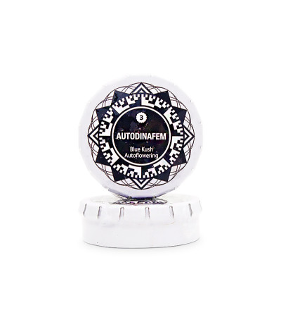 Семена каннабиса Blue Kush Autoflowering в оригинальной упаковке