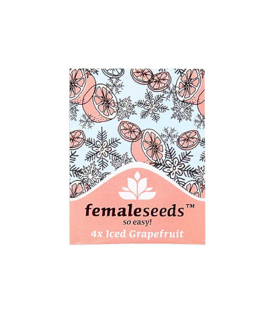 Семена конопли ICED Grapefruit в оригинальной упаковке