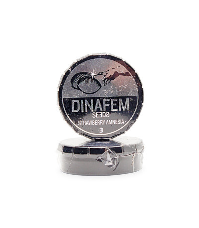Семена сорта Strawberry Amnesia fem (Dinafem Seeds)