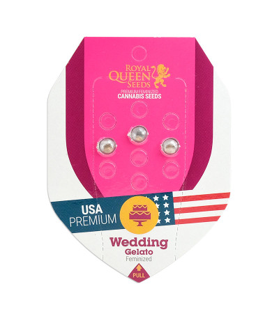 Семена сорта Wedding Gelato fem (RQS)