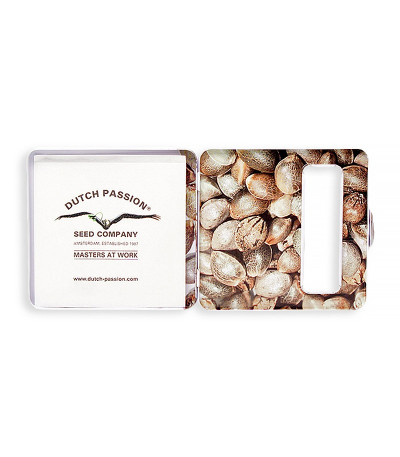 Семена сорта Snow Storm #2 (Dutch Passion)