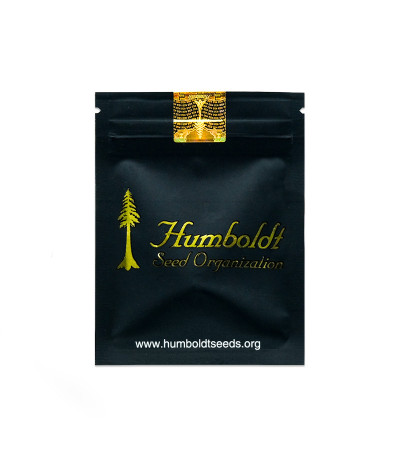 Семена сорта Ice Cream Cake Fast Flowering fem (Humboldt Seed Organization)