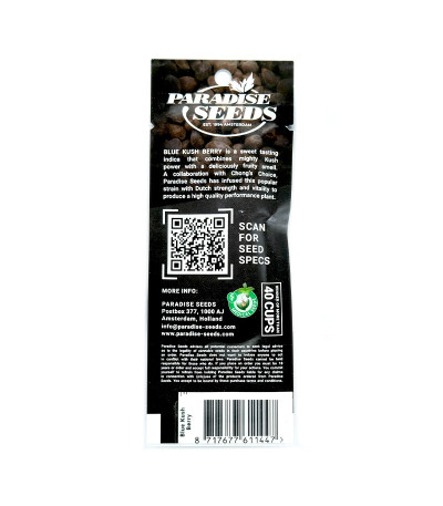 Семена сорта Blue Kush Berry fem (Paradise Seeds)