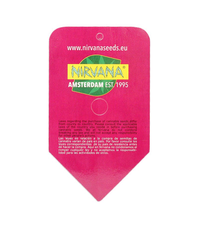 Семена сорта Bubblelicious fem (Nirvana Seeds)