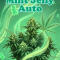 Семена сорта Mint Jelly Auto fem от Humboldt Seed Company
