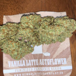 vanilla-latte-auto-fem-humboldt-seed-company.jpg