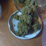 wedding-cake-auto-fem-barneys-farm.jpg