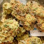 jealousy-kush-fem-seedkeepers.jpg