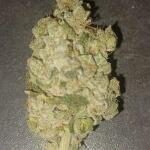 purple-lemonade-ff-fem-fastbuds.jpg