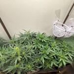 auto-ak-ak-47-auto-fem-Semyanich.jpg