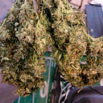 hellfire-og-auto-fem-7ch-american.jpg