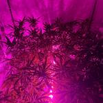 auto-ak-ak-47-auto-fem-Semyanich.jpg