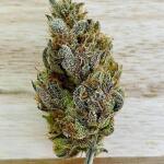 punchberry-cookies-rbx-fem-ethos-genetics.jpg